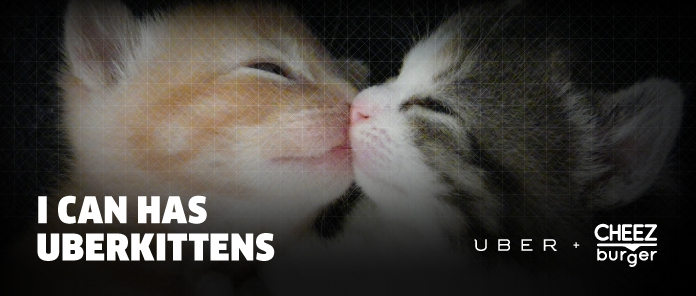 Uber kittens