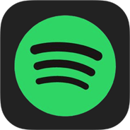 Why is it called spotify?